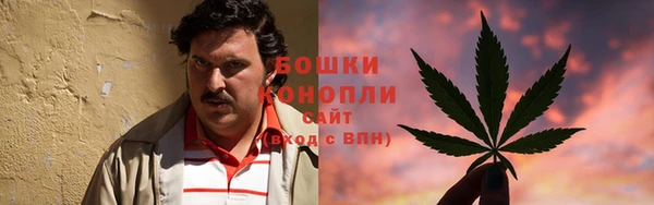 дживик Видное