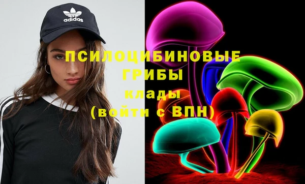 спиды Няндома