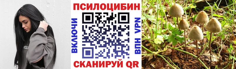 Галлюциногенные грибы Psilocybe Первоуральск