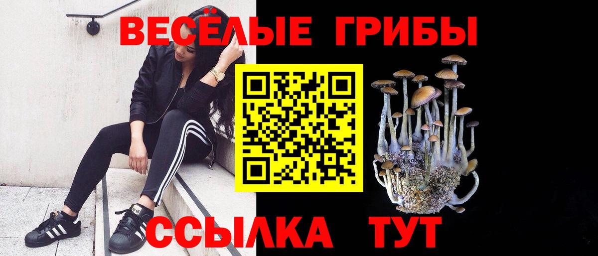 наркотики  Псилоцибиновые грибы Psilocybine cubensis  Вход с VPN  Первоуральск 